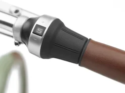 Trek Bikes Townie Go! 5i EQ Step-Thru