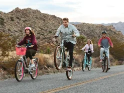 Trek Bikes Townie Go! 5i EQ Step-Thru