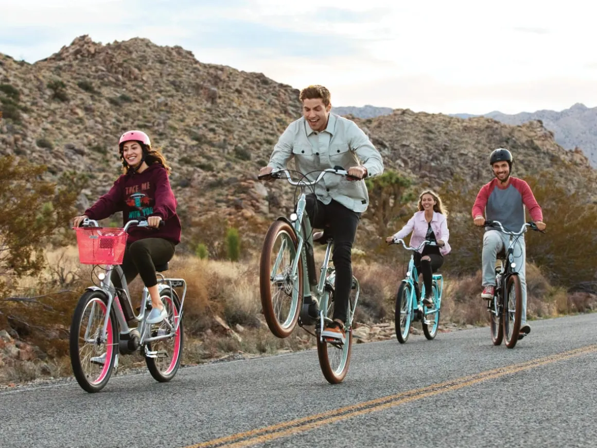 Trek Bikes Townie Go! 5i EQ Step-Thru