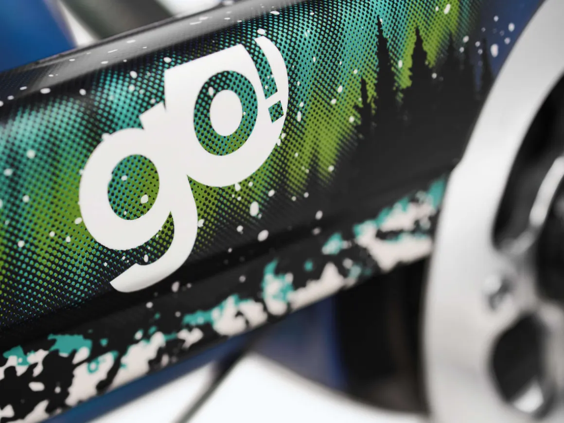 Trek Bikes Townie Go! 5i EQ Step-Thru