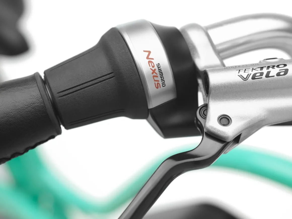 Trek Bikes Townie Go! 5i EQ Step-Thru