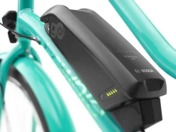 Trek Bikes Townie Go! 5i EQ Step-Thru