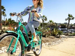 Trek Bikes Townie Go! 5i EQ Step-Thru
