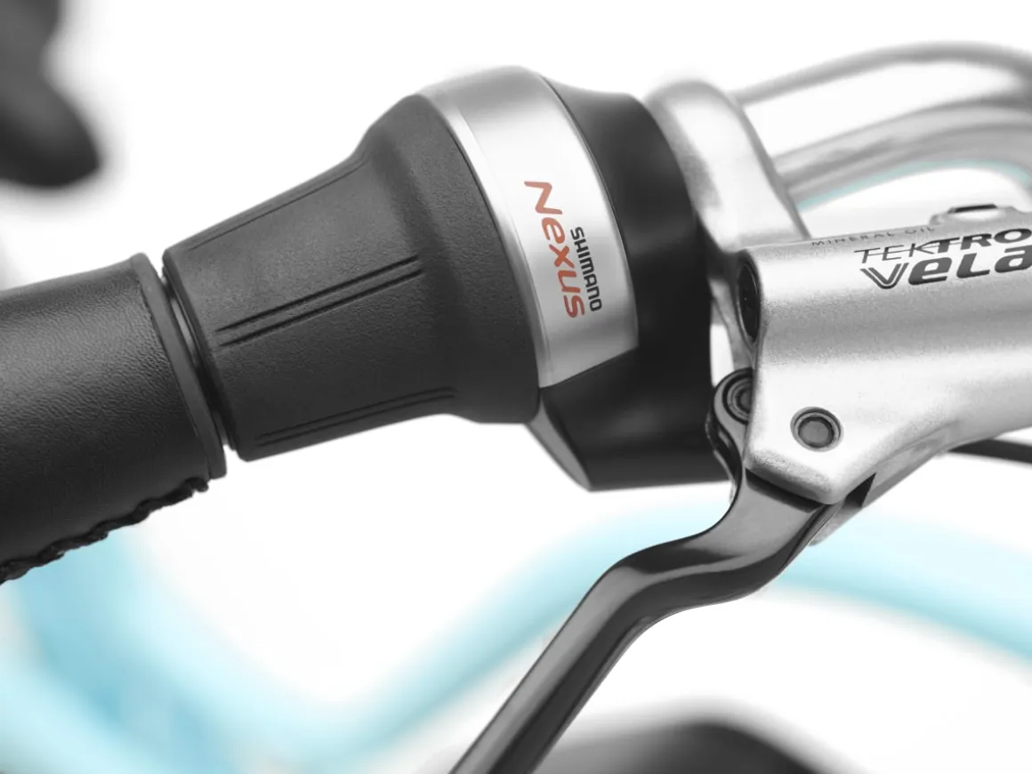 Trek Bikes Townie Go! 5i EQ Step-Thru