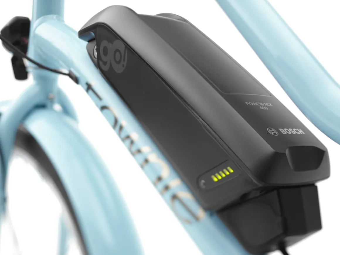 Trek Bikes Townie Go! 5i EQ Step-Thru
