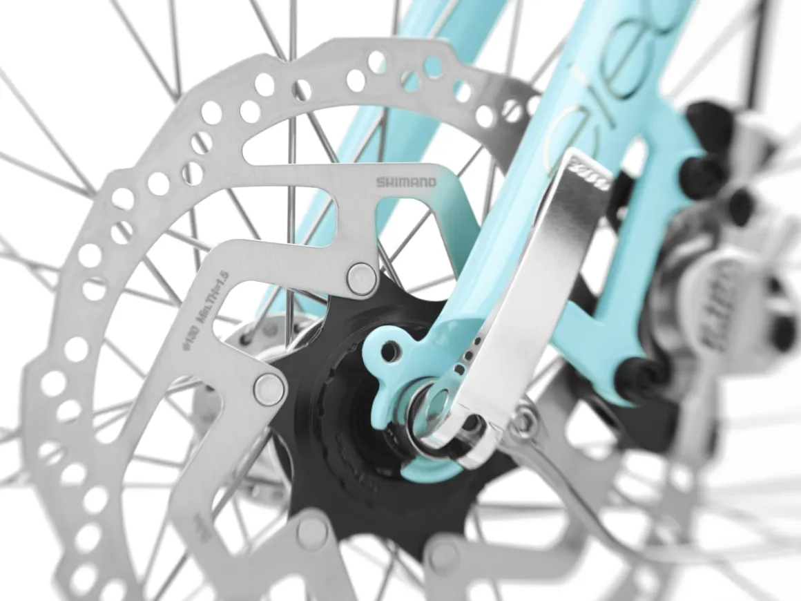 Trek Bikes Townie Go! 5i EQ Step-Thru
