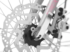 Trek Bikes Townie Go! 5i EQ Step-Thru