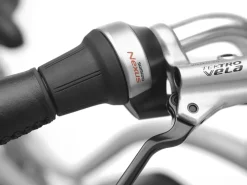 Trek Bikes Townie Go! 5i EQ Step-Thru