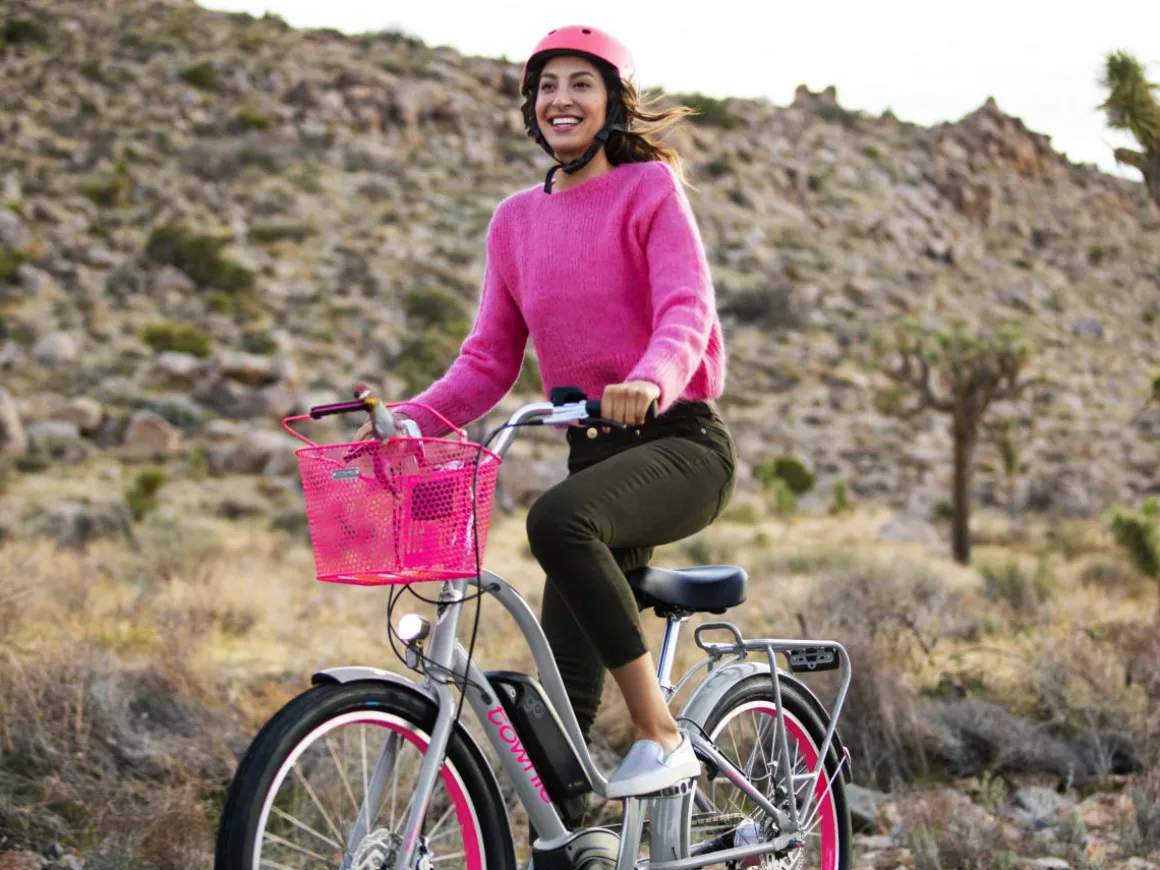 Trek Bikes Townie Go! 5i EQ Step-Thru