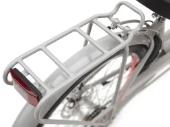 Trek Bikes Townie Go! 5i EQ Step-Thru