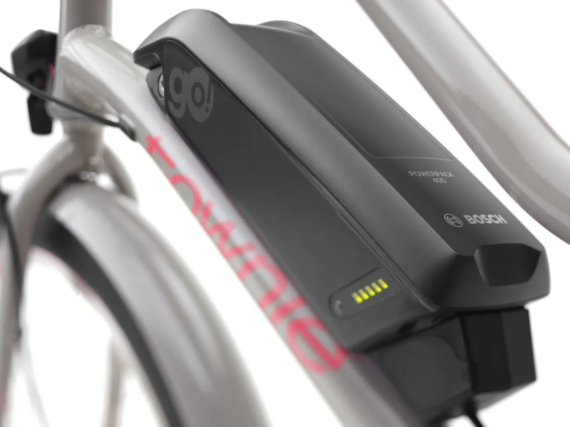 Trek Bikes Townie Go! 5i EQ Step-Thru