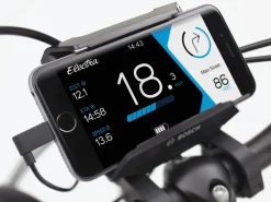 Trek Bikes Townie Path Go! 10D EQ Step-Over
