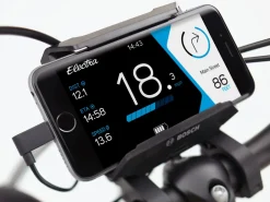 Trek Bikes Townie Path Go! 10D EQ Step-Over