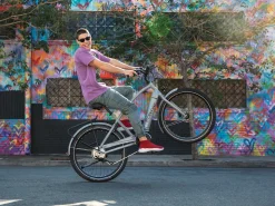 Trek Bikes Townie Path Go! 10D EQ Step-Over