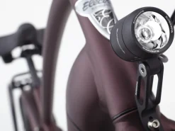 Trek Bikes Townie Path Go! 10D EQ Step-Over