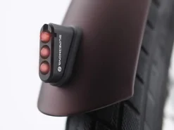 Trek Bikes Townie Path Go! 10D EQ Step-Over