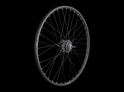 Trek Bikes Trek Alex DP23 Centerlock Nexus 7-Speed 700c Wheel