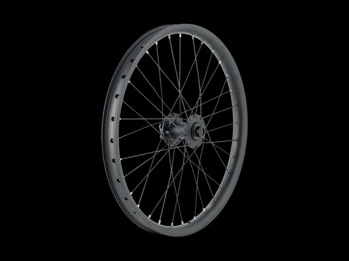 Trek Bikes Trek Cargo Bike 6-Bolt Disc 20" Wheel