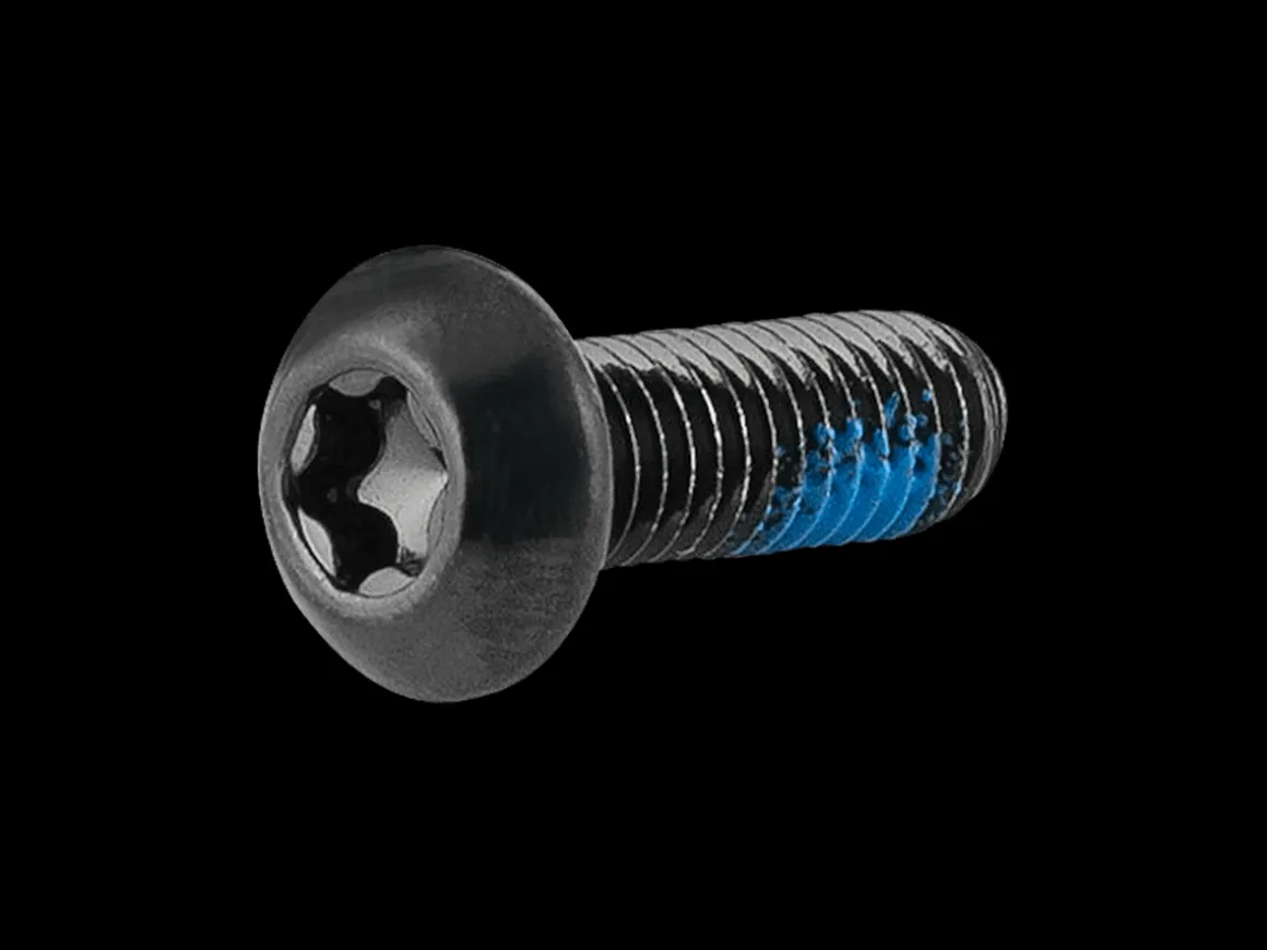 Trek Bikes Trek Hex Screw with Thread Locker