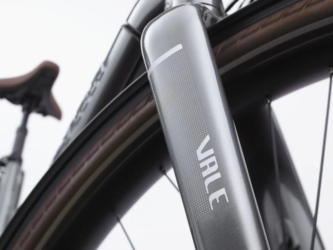 Trek Bikes Vale Go! 9D EQ
