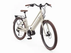 Trek Bikes Vale Go! 9D EQ S