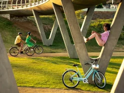 Trek Bikes Vale Go! 9D EQ S
