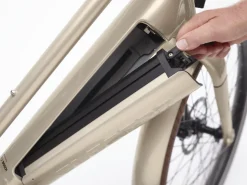 Trek Bikes Vale Go! 9D EQ S