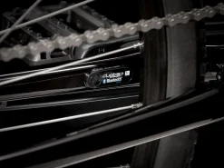 Trek Bikes Verve 1 Disc