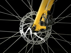 Trek Bikes Verve 2 Lowstep Gen 5