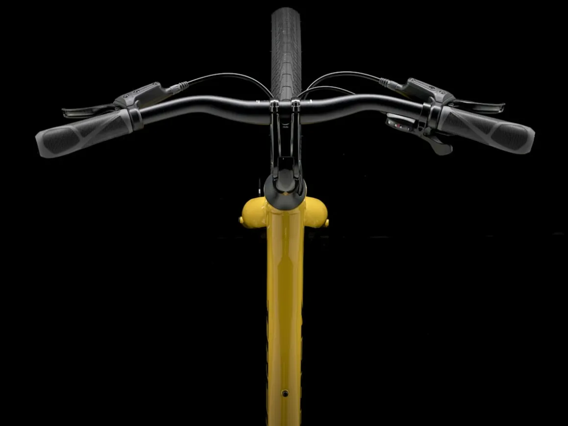 Trek Bikes Verve 2 Lowstep Gen 5