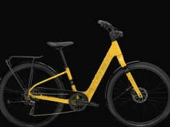 Trek Bikes Verve+ 1 Lowstep LT