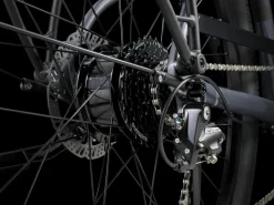 Trek Bikes Verve+ 1 Lowstep LT