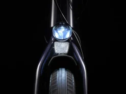 Trek Bikes Verve+ 4S