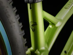Kids Trek Bikes Wahoo 24 Trail