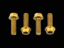 Trek Bikes Wolf Tooth Water Bottle Cage Bolts